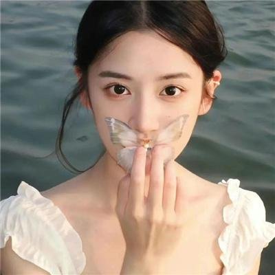 摩斯探长第五季